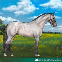 Horse Color:Brown Roan Varnish 