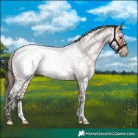 Horse Color:Bay Roan Near Fewspot