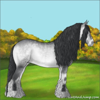 Horse Color:Bay Chinchilla Onyx 