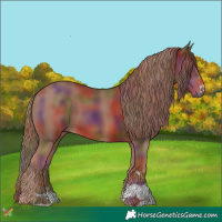 Horse Color:Nacre Chestnut 