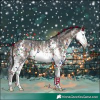 Horse Color:Brown Dun Sabino Splash 