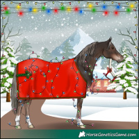 Horse Color:Liver Chestnut Mushroom 
