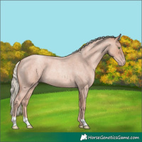 Horse Color:Gold Champagne Roan Mushroom 