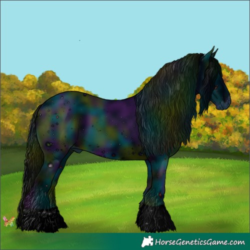 Horse Color:ERROR: UNKNOWN ANOMALY
