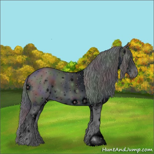 Horse Color:ERROR: UNKNOWN ANOMALY