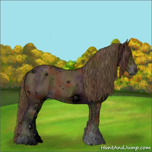 Horse Color:ERROR: UNKNOWN ANOMALY