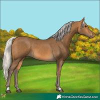 Horse Color:Silver Buckskin 
