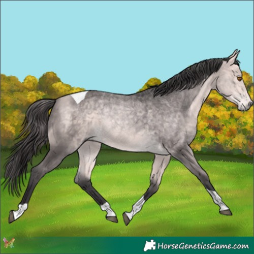 Horse Color:Platinum Buckskin Tobiano