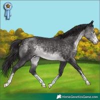 Horse Color:Platinum Buckskin