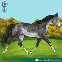 Horse Color:Platinum Buckskin 