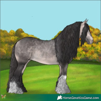 Horse Color:Platinum Buckskin Tobiano 