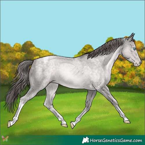 Horse Color:Platinum Buckskin Pearl Tobiano
