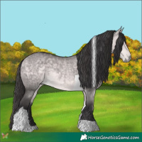 Horse Color:Platinum Buckskin Dun Tobiano 