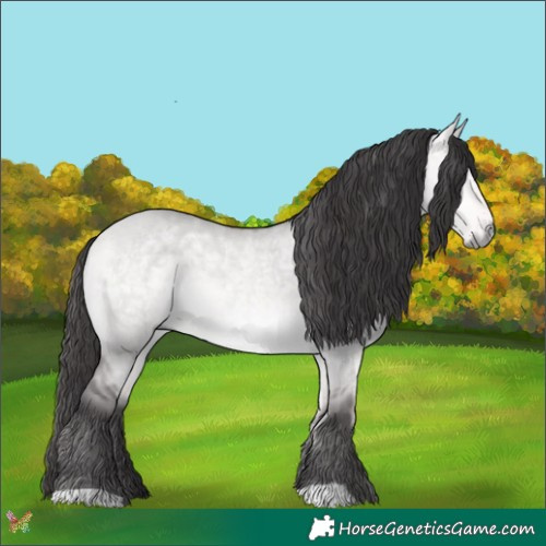 Horse Color:Platinum Buckskin Dun 