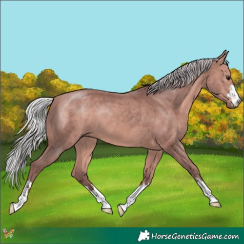 Horse Color:Platinum Chocolate Silver Bay