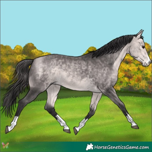 Horse Color:Platinum Buckskin 