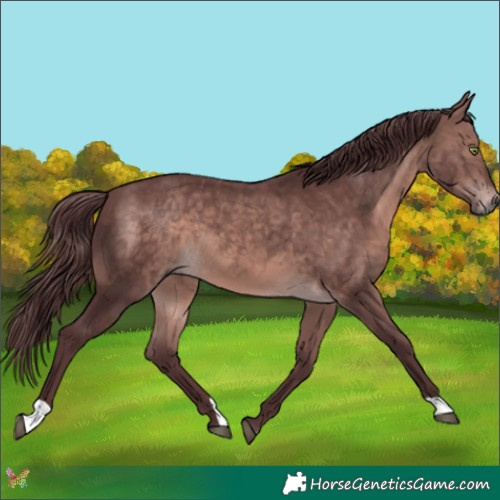 Horse Color:Platinum Chocolate Bay 