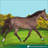 Horse Color:Platinum Chocolate Bay 