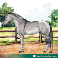 Horse Color:Platinum Brown Dun Tobiano 