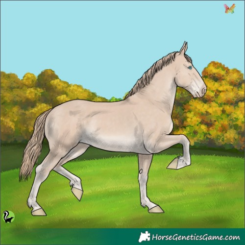 Horse Color:Smoky Creme 
