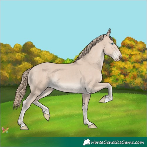 Horse Color:Smoky Creme 