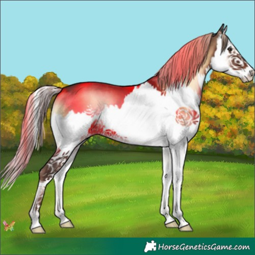 Horse Color:Liver Red Onyx Splash 
