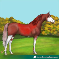 Horse Color:Watercolor Liver Chestnut Splash