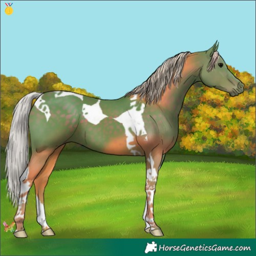 Horse Color:Watercolor Silver Black Tobiano 