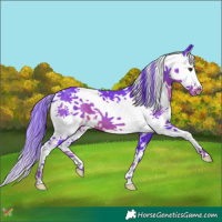Horse Color:Watercolor Liver Chestnut Splash 