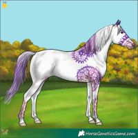 Horse Color:Watercolor Liver Chestnut Splash 