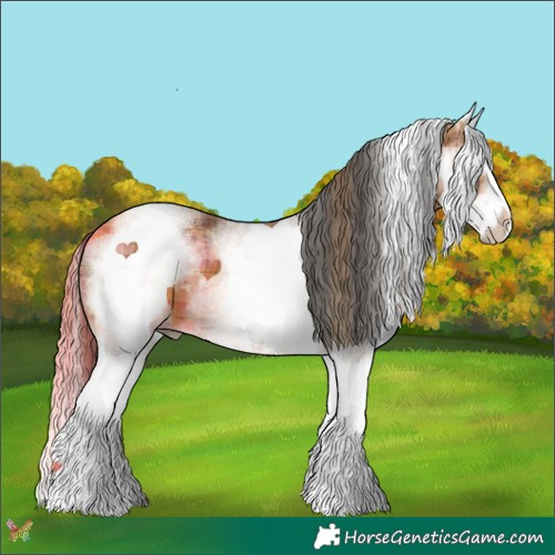 Horse Color:Plaid  White Spotted Bay Splash 