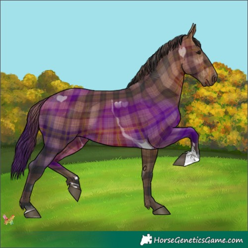 Horse Color:Plaid  Brown Tobiano 