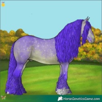 Horse Color:Watercolor Brown Dun 