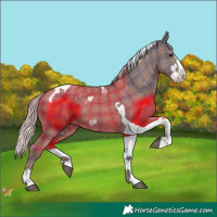 Horse Color:Plaid  Silver Black Splash Tobiano 