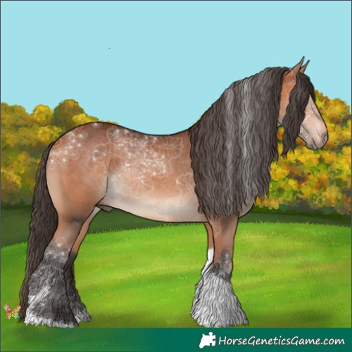 Horse Color:Bay Tobiano 