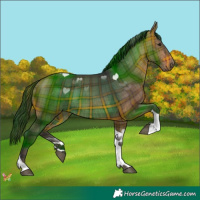 Horse Color:Plaid  Brown Tobiano 