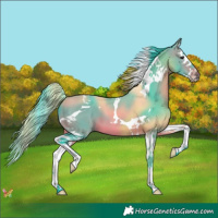 Horse Color:Watercolor Bay Splash Tobiano 