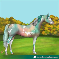 Horse Color:Watercolor Bay Splash Tobiano 