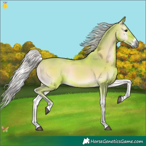 Horse Color:Watercolor Silver Bay Onyx