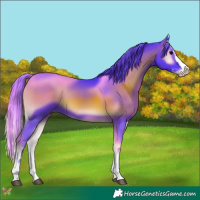 Horse Color:Platinum Watercolor Chocolate Blue Onyx Splash 