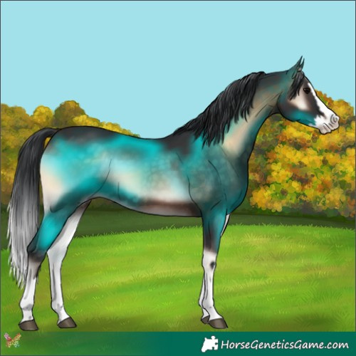 Horse Color:Brown Onyx Splash 
