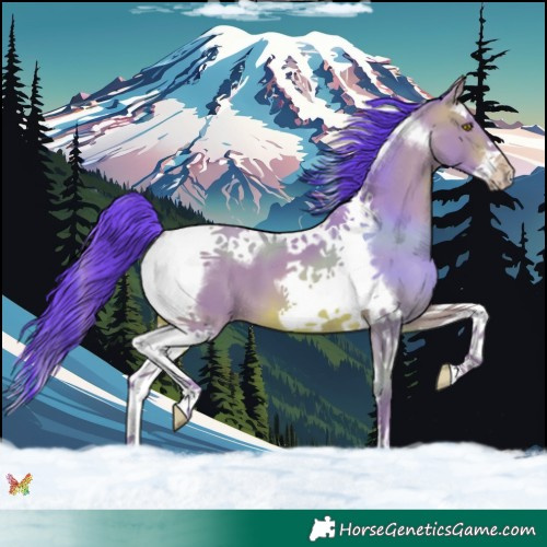 Horse Color:Watercolor Sable Champagne Splash Tobiano Frame 