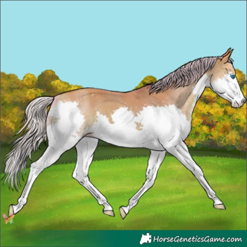 Horse Color:Watercolor Silver Sable Champagne Splash 