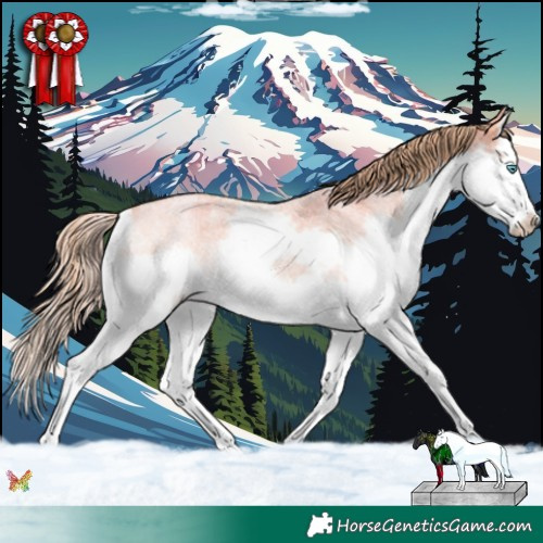 Horse Color:Watercolor Gold Champagne Roan Dun Splash Frame Rabicano 