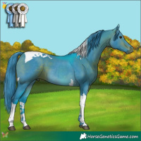 Horse Color:Watercolor Bay Tobiano