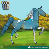 Horse Color:Watercolor Bay Tobiano