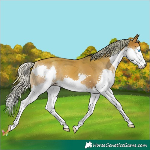 Horse Color:Watercolor Silver Sable Champagne Splash 