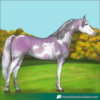 Horse Color:Watercolor Silver Bay Splash Tobiano 