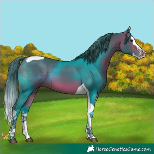 Horse Color:Watercolor Bay Splash Tobiano 