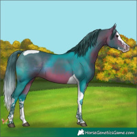 Horse Color:Watercolor Bay Splash Tobiano